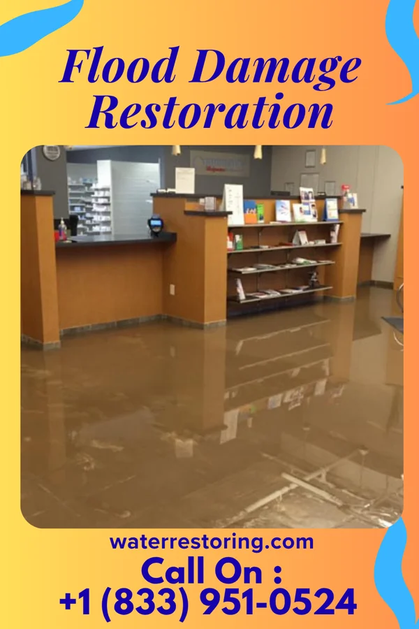 Flood Damage Restoration in Taylorsville, GA