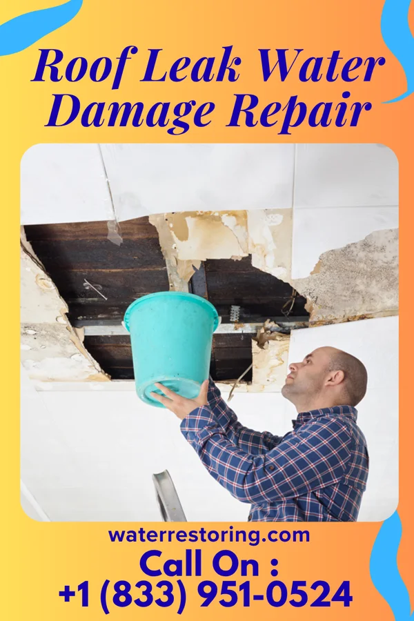 Roof Leak Water Damage Repair in Taylorsville, GA