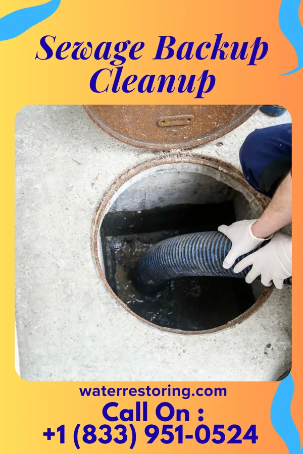 Sewage Backup Cleanup in Taylorsville, GA