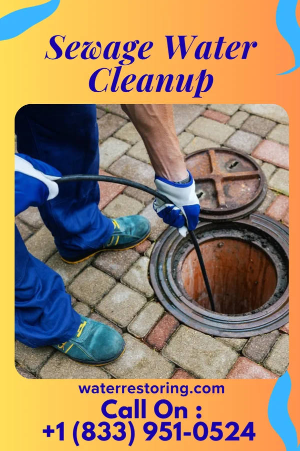 Sewage Water Cleanup in Taylorsville, GA